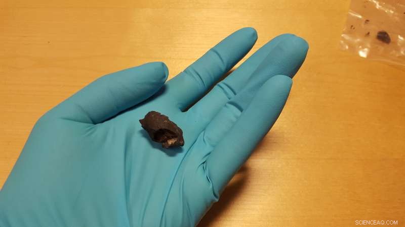 Scandinavia s Earliest Human DNA Uncovered in Ancient Chewing Gum