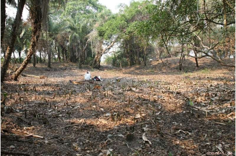 Ancient Fish Ponds in Bolivia’s Savanna Enabled Early Human Settlements