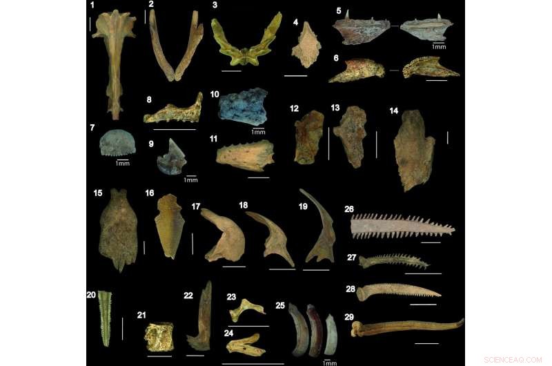 Ancient Fish Ponds in Bolivia’s Savanna Enabled Early Human Settlements