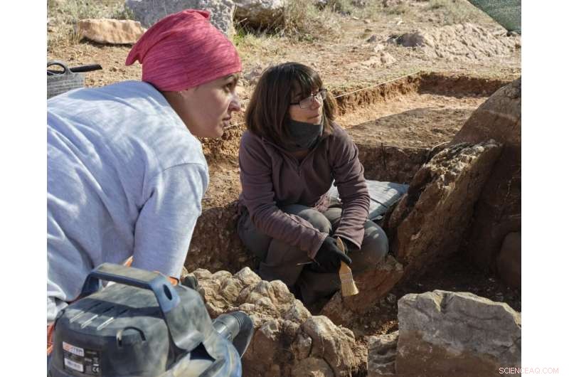 Paleolithic Diet Analysis Reveals Equal Food Access Across Social Strata