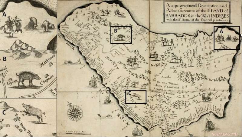 Archaeological Discovery Challenges Traditional Narrative of Barbados’s Early History