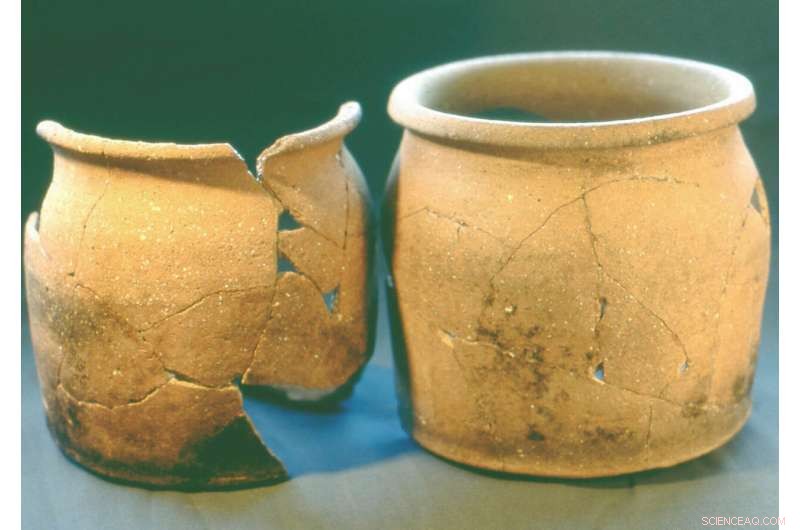 New Study Reveals Medieval Peasant Diets and Livestock Management