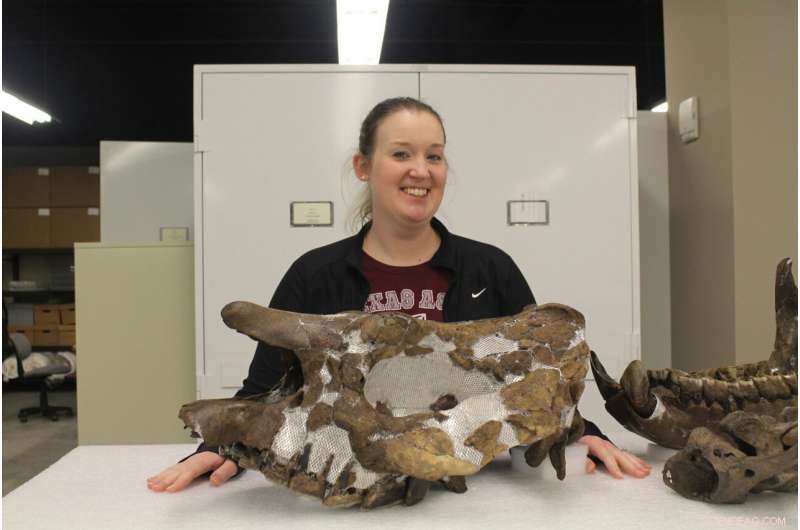 Texas A&M Student Uncovers Rare 5-Million-Year-Old Rhinoceros Species