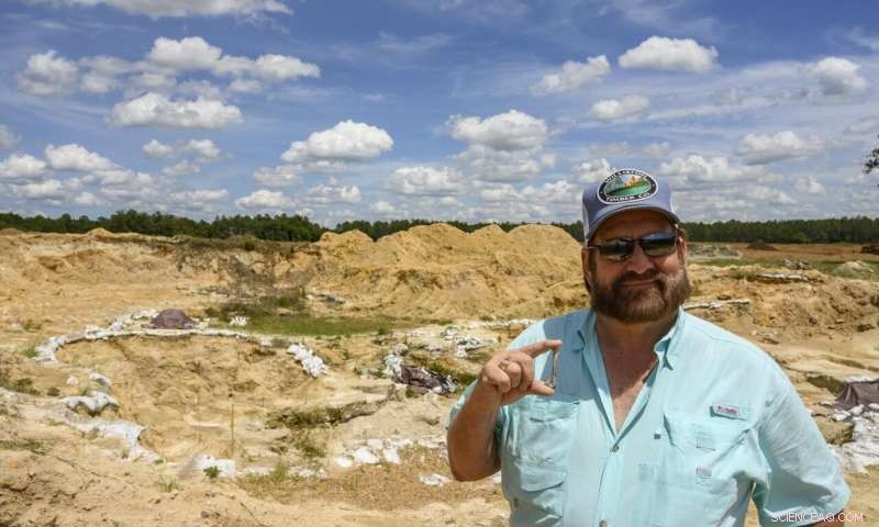 Florida Museum Volunteers Unearth New Extinct Heron Species in North Florida Fossil Site