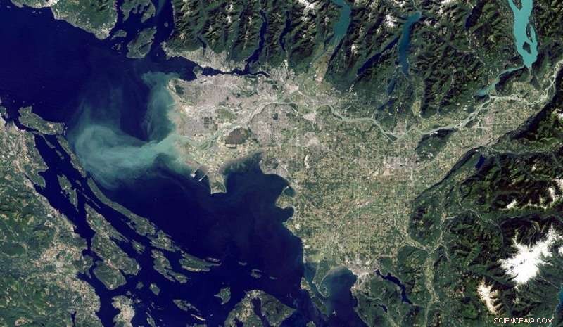 Discover the Salish Sea: Where It Lies and Why It Matters