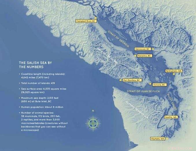 Discover the Salish Sea: Where It Lies and Why It Matters