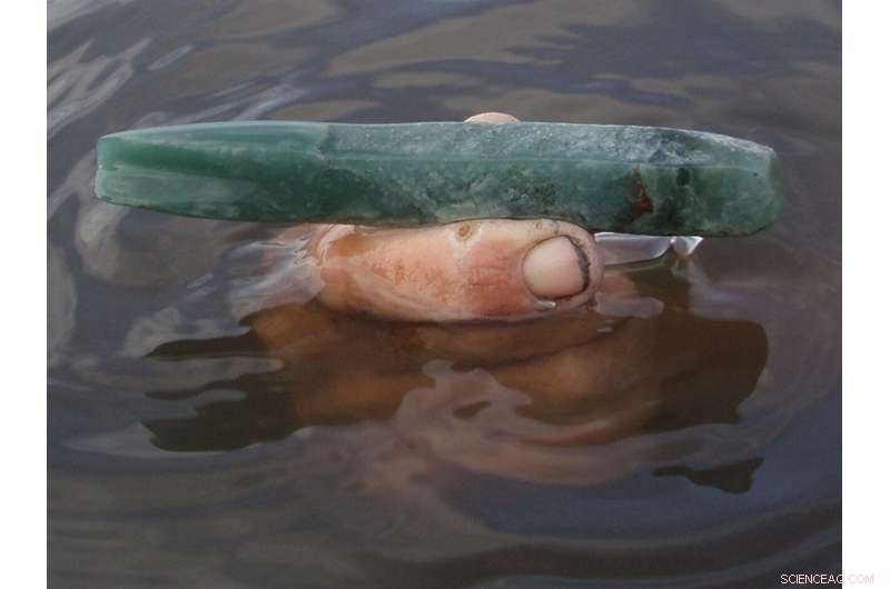 High-Quality Jadeite Tool Unearthed in Belizean Underwater Saltworks