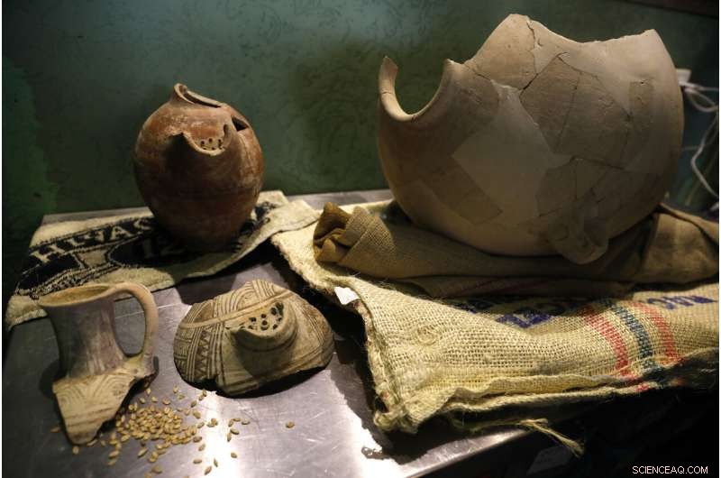 Israeli Scientists Brew Beer Using 5,000-Year-Old Yeast