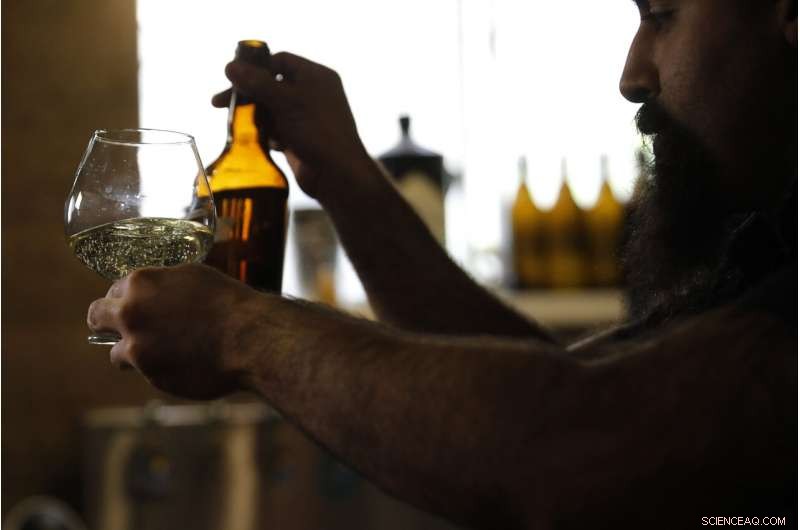 Israeli Scientists Brew Beer Using 5,000-Year-Old Yeast