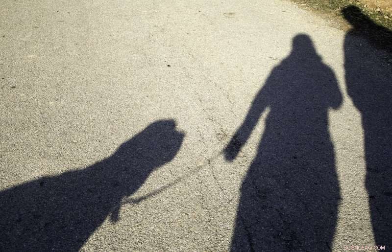 The Unexpected Role of Dogs in Shaping Social Integration in Multiracial Neighborhoods