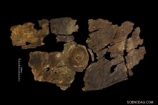 Rare Iron Age Bark Shield Reveals Secrets of Prehistoric Weapon Design