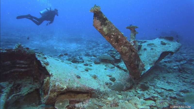 WWII Researcher Confirms Ocean Wreck Near Okinawa Is Missing US Pilot s Plane