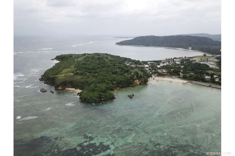 WWII Researcher Confirms Ocean Wreck Near Okinawa Is Missing US Pilot s Plane