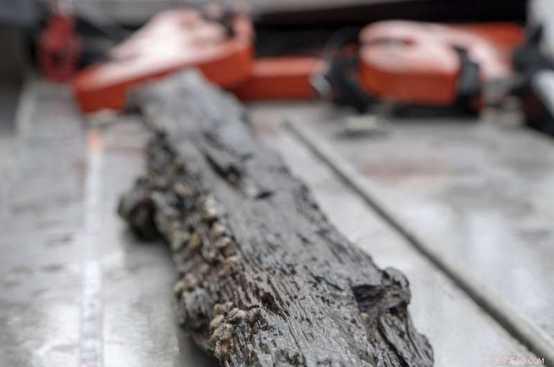 Discovering the Clotilda: The Last U.S. Slave Ship Unearthed in Alabama s Bayou