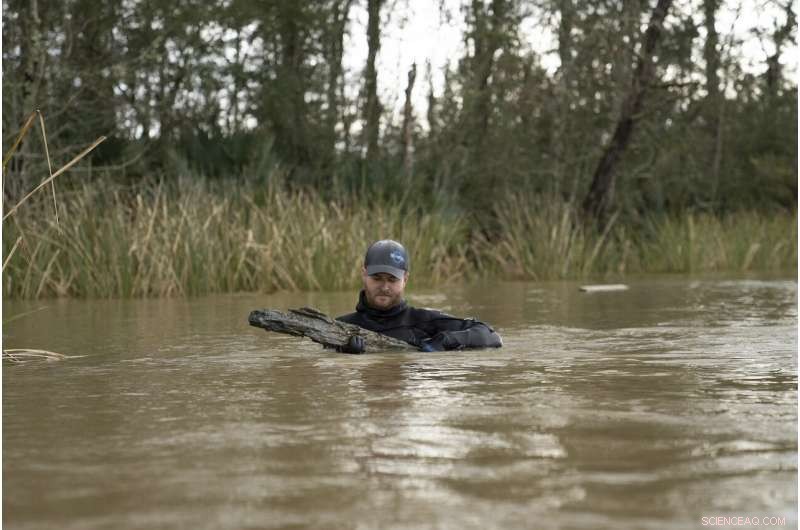Discovering the Clotilda: The Last U.S. Slave Ship Unearthed in Alabama s Bayou