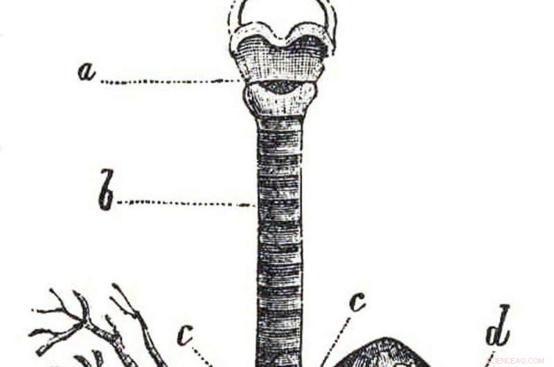 The Mathematics of Scale: From Grand Patterns to Tiny Details