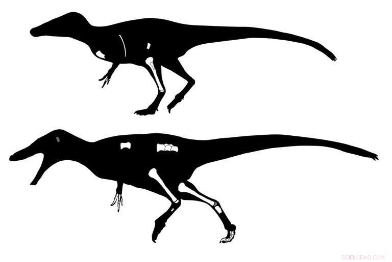 New Thai Dinosaurs Reveal Close Relatives to T. rex