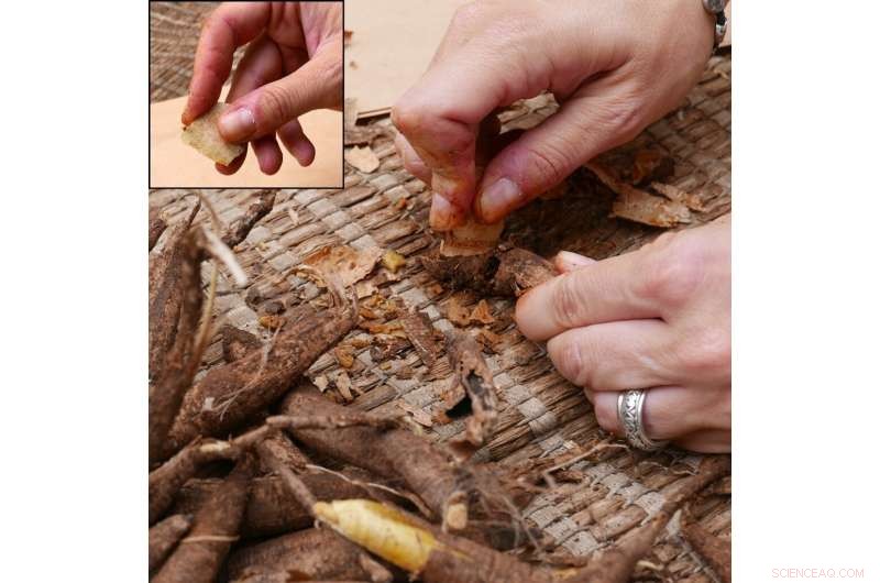 Early Humans Purposefully Recycled Flint to Craft Precision Tiny Tools