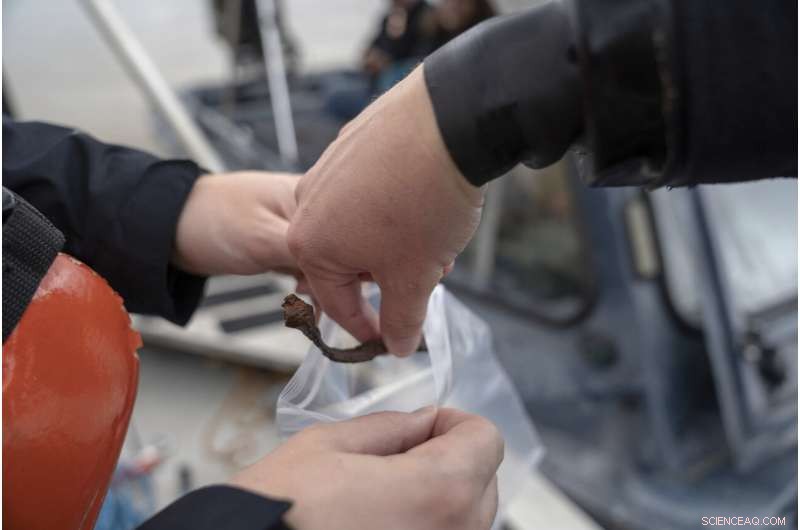 Alabama Unveils Final Slave Ship Discovery, Reflecting on the Past and Future