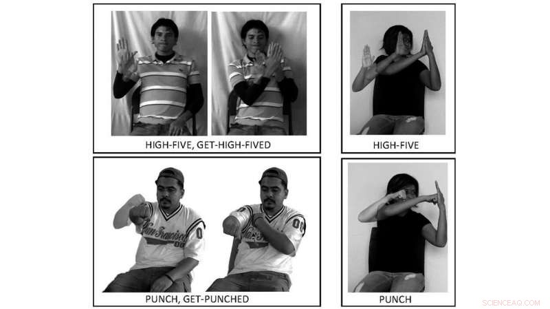 A Universal Feature of Language: Symmetry and Reciprocity in Speech and Sign