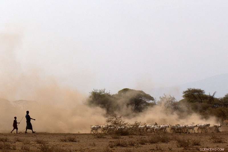 New Ancient DNA Study Reveals How Early Herders and Farmers Shaped East Africa