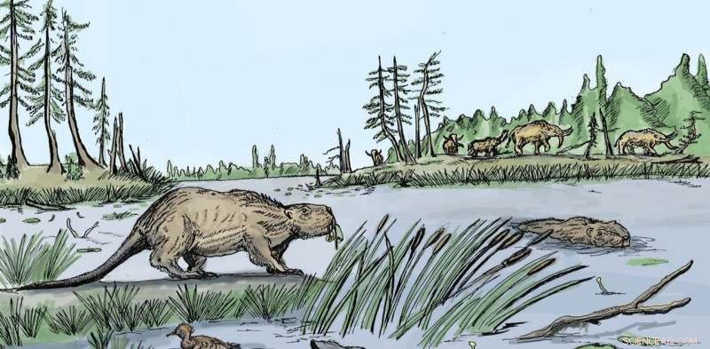 Why the Giant Beaver, Once Dominating North America, Vanished 10,000 Years Ago