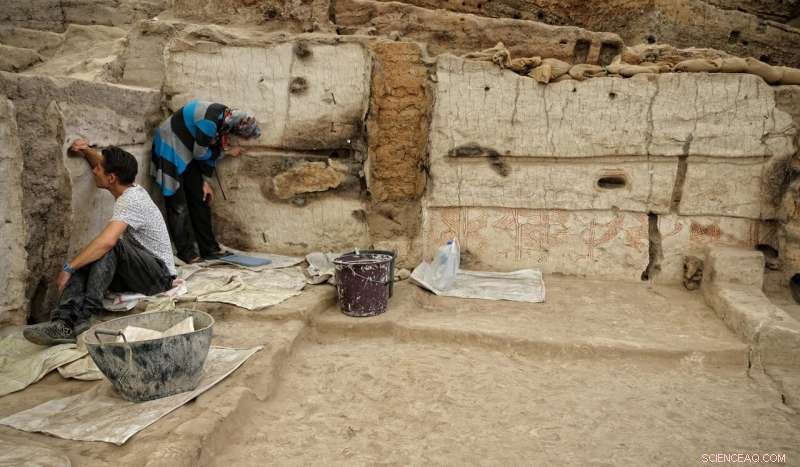 8,000-Year-Old Çatalhöyük Feces Reveal Earliest Intestinal Parasite Record
