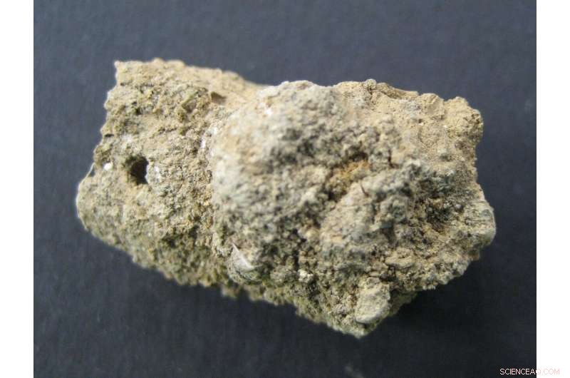 8,000-Year-Old Çatalhöyük Feces Reveal Earliest Intestinal Parasite Record