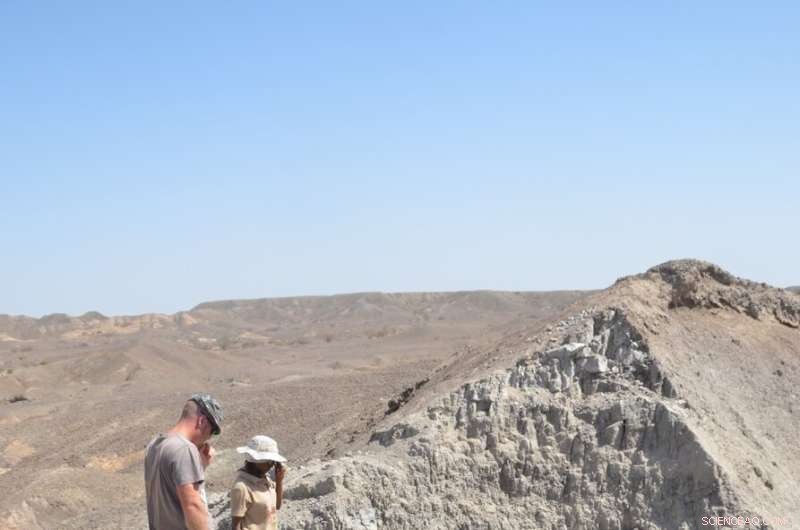 New Research Reveals Stone Tools Evolved Over 2.58 Million Years, Highlighting Repeated Invention