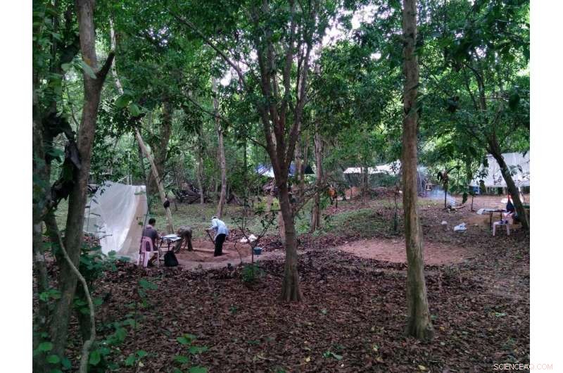 Archaeological Digs at Angkor Wat Reveal Fresh Clues to the Decline of Its Civilization