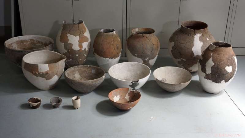 Ancient Chinese Pottery Shards Reveal Neolithic Alcohol Brewing Techniques