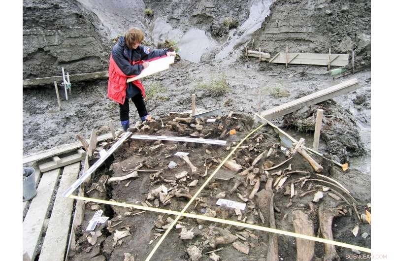 31,000‑Year‑Old Milk Teeth Reveal New Ancient Siberian Population