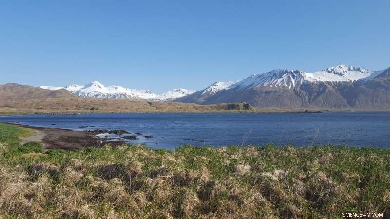 Arctic Hunter‑Gatherers 5,000 Years Ago: DNA Reveals Their Legacy in North America