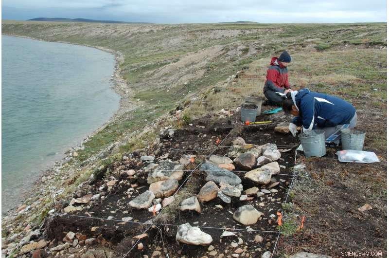 Arctic Hunter‑Gatherers 5,000 Years Ago: DNA Reveals Their Legacy in North America