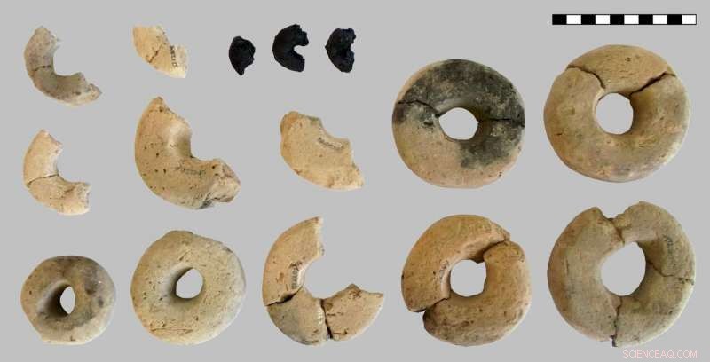 Bronze Age Cereal Rings: A Novel Discovery of Ancient Annular Products