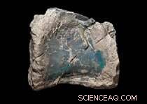 Underground Dinosaur Herd Discovered at Lightning Ridge Opal Mine, Including New Species and World s Most Complete Opalized Fossil