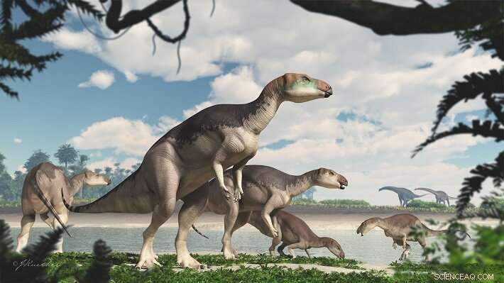 Underground Dinosaur Herd Discovered at Lightning Ridge Opal Mine, Including New Species and World s Most Complete Opalized Fossil