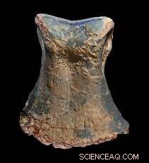 Underground Dinosaur Herd Discovered at Lightning Ridge Opal Mine, Including New Species and World s Most Complete Opalized Fossil