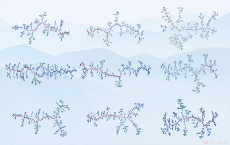 Unveiling Mountain Beauty: Ridge Maps Show Universal Geomorphology
