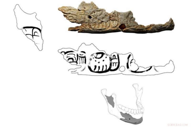 Human Skull Trophies Offer Clues to Maya Collapse and Regional Conflict