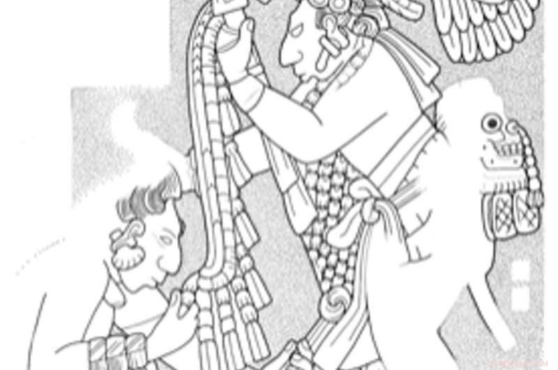 Human Skull Trophies Offer Clues to Maya Collapse and Regional Conflict