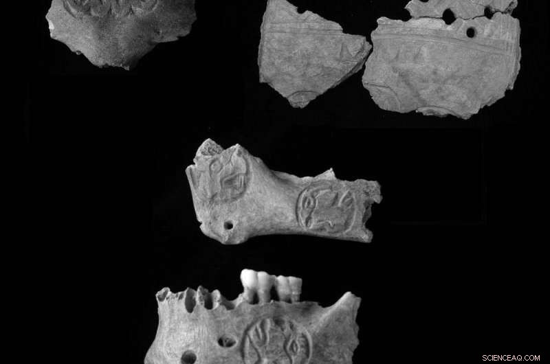 Human Skull Trophies Offer Clues to Maya Collapse and Regional Conflict
