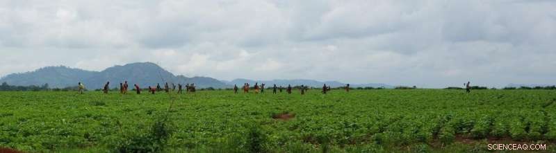 Large-Scale Land Deals Harm Communities, Women Bear the Brunt