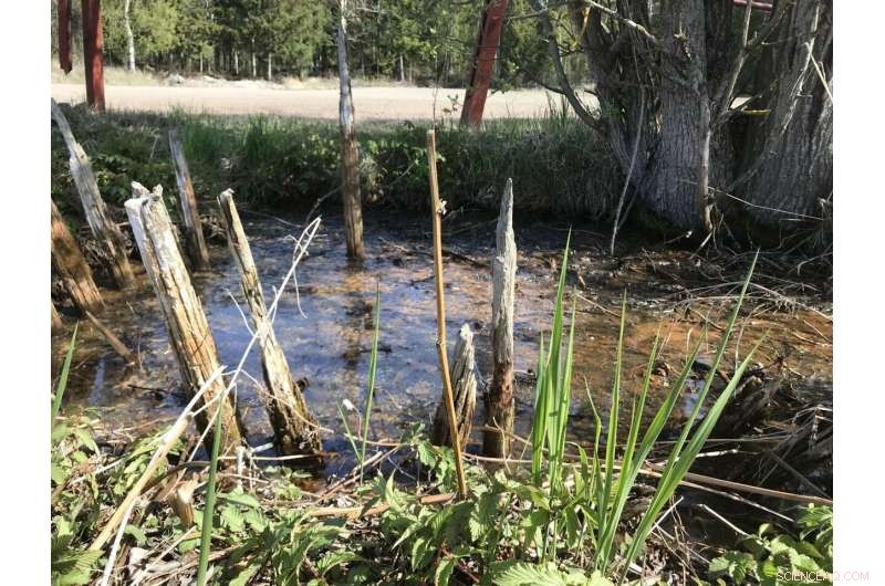 Groundbreaking DNA Findings Reveal Ancient Water-Burial Connections in Western Finland