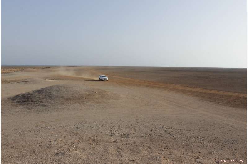 Sea-Level Rise Obliterated Shell Midden Sites, Reshaping Prehistoric Coastal Archaeology