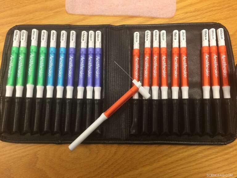 The Role of Oral Pressure Sensitivity in Food Texture Perception