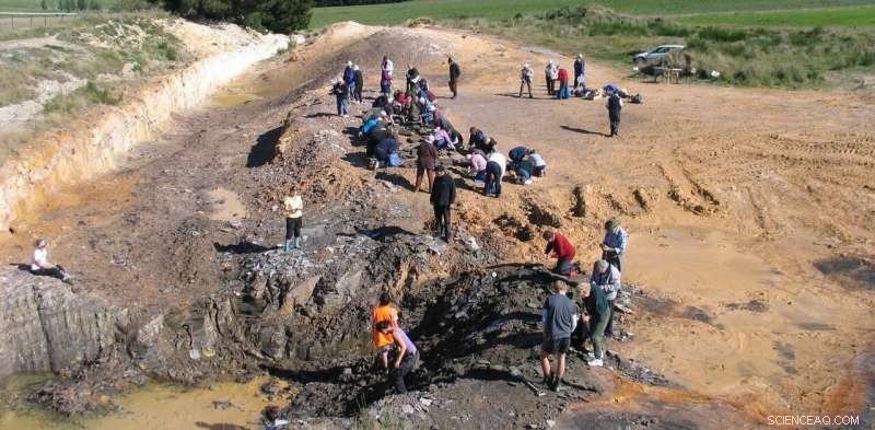 Foulden Maar Mining Proposal Triggers Nationwide Effort to Protect New Zealand s Fossil Treasure