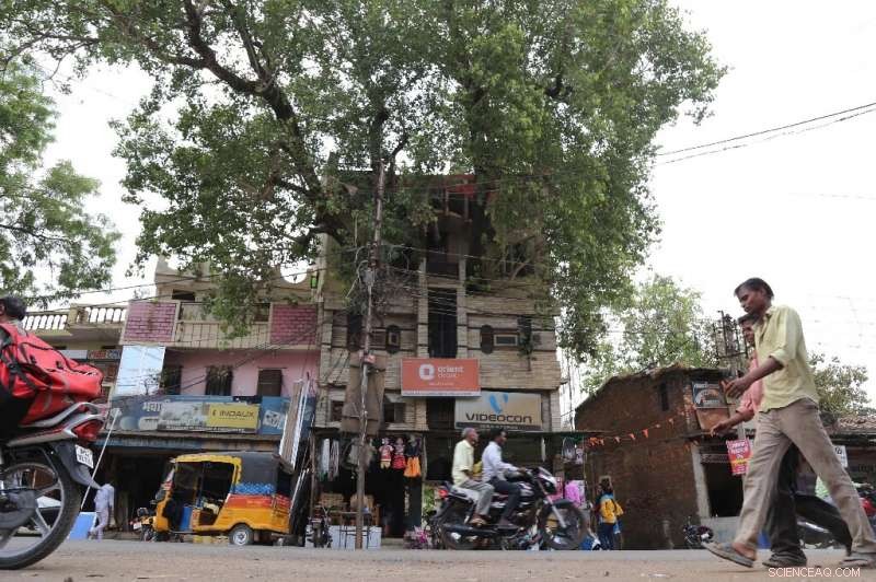 Madhya Pradesh Family Builds Home Around 150-Year-Old Sacred Fig Tree