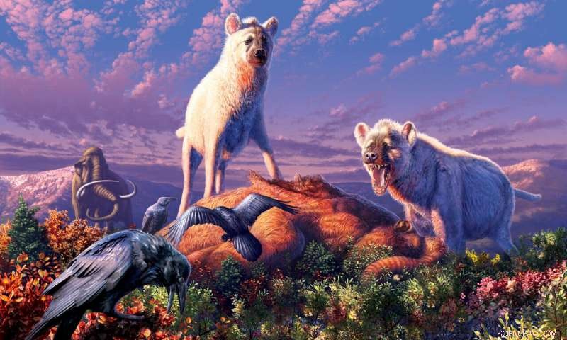 Arctic Discovery: Fossil Hyena Teeth Confirm Ancient Presence in Yukon