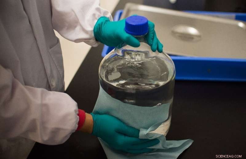 International Research Faces Setbacks Amid Heightened US-China Diplomatic Tensions